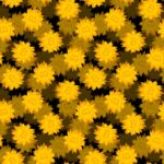 „De-fi“ platforma „Drift“ sustabdo indėlius ir išėmimus po to, kai